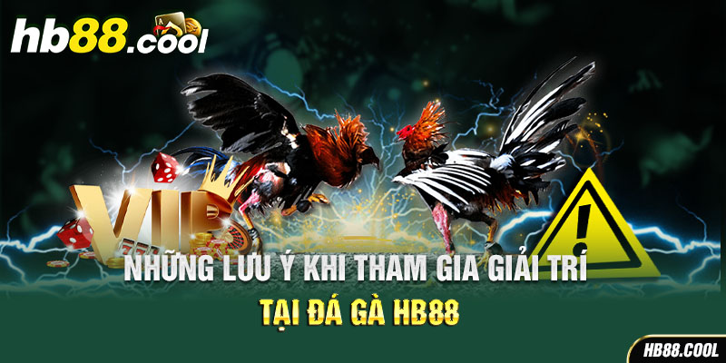 Những lưu ý khi tham gia vào đá gà HB88