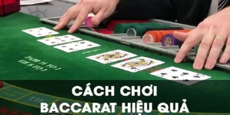 Cách chơi baccarat