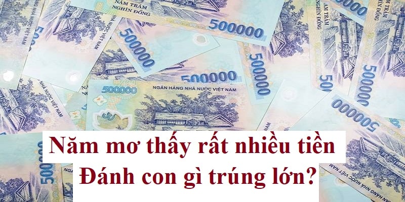 Nằm Mơ Thấy Rất Nhiều Tiền Mang Đến Con Số Trúng Lớn Nào?